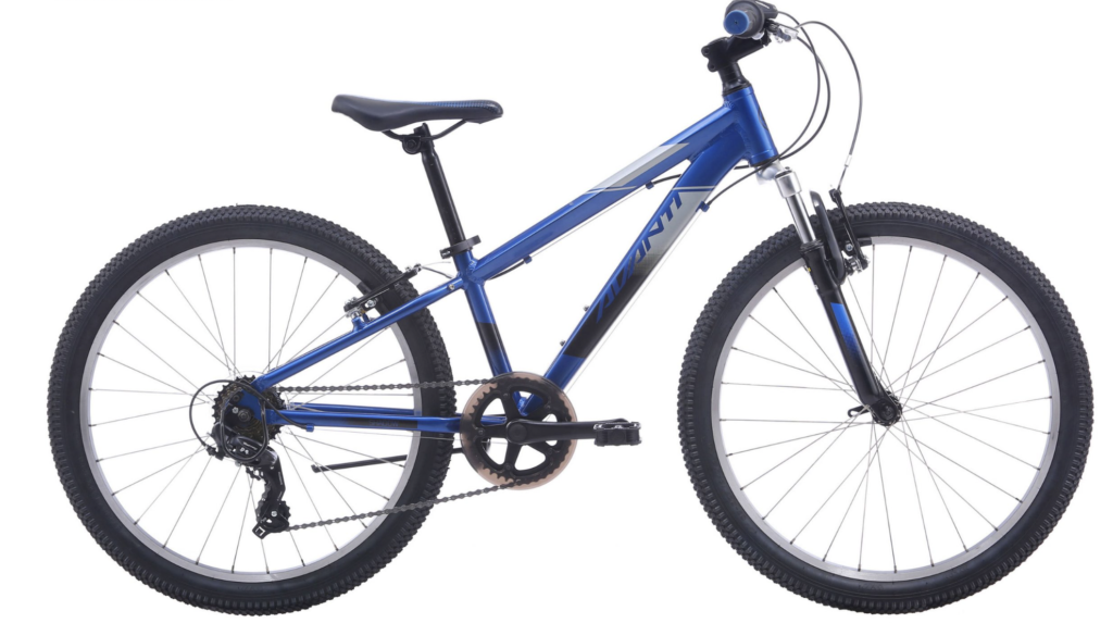 Avanti 24 online inch mountain bike